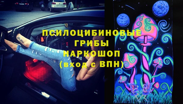 прущий лед Козельск