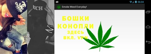 дурь Козловка