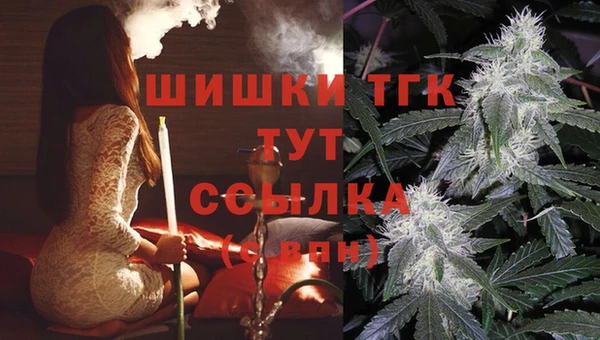 прущий лед Козельск