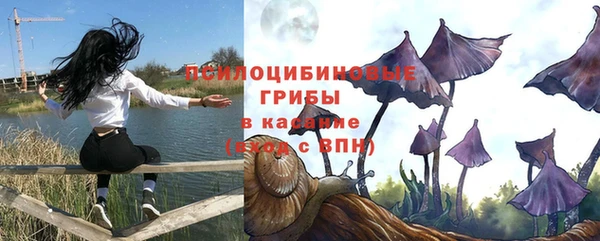 прущий лед Козельск