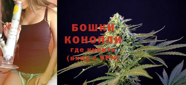трава Кодинск