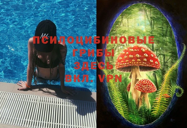 дурь Козловка