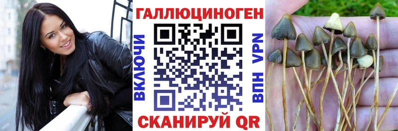 Псилоцибиновые грибы ЛСД  Купить  Ирбит 